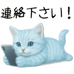 推し猫(青)…………..