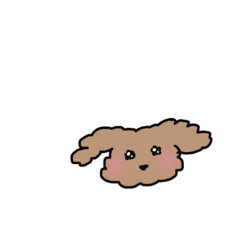 マイプードル！