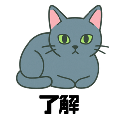 The Daily Life of a Russian Blue