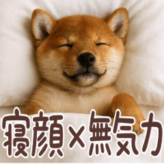 ぐでぐでわんこ