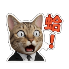 Super cute tabby cat daily stickers 1