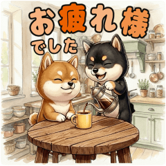 気持ちを伝えたい柴犬さん