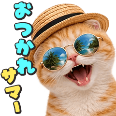 飛び出す❤️猫猫猫の夏