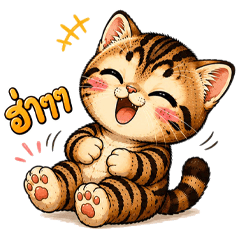 Tabby Orange Cat so Cute