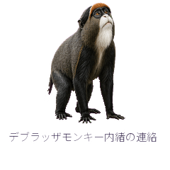 デブラッザモンキー内緒の連絡