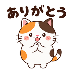 ふわふわ三毛猫の毎日