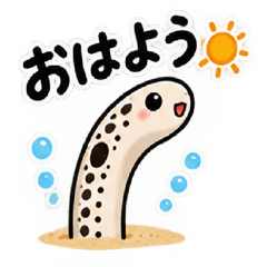 珍！チンアナゴ