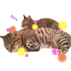 ウチの猫様スタンプ