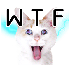 Funny Life of Cheese & Curry - Part 4.