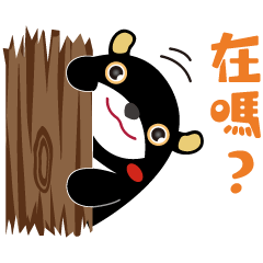Kaohsiung Bear / Hello, here I am