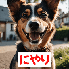 表情いぬ 〜気持ちが伝わる40匹〜