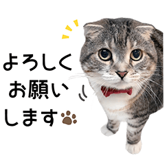 りっちゃんたちのスタンプ3