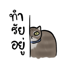 MOOKOOK_20250607185649