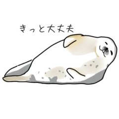 癒しのあざらしたち