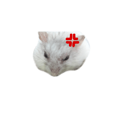 でぶすたーんぷ