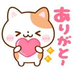 動く▶︎ねこねこにゃんこ