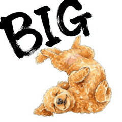 BIGなスタンプーと過ごす大人の日常