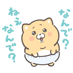 泣きむし子猫のキィちゃん 2