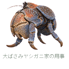 大ばさみヤシガニ家の用事