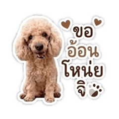 CHAAON_20260607202401