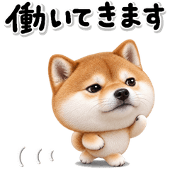 ず～っと使える♡柴犬のお仕事