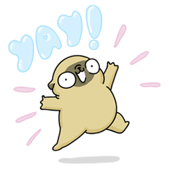 Mochi the pug from 157ofgemma