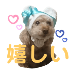 茶色い犬・リリーのスタンプ