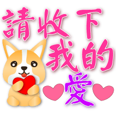 Cute Corgi -Practical Daily Phrases