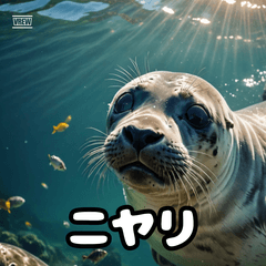 もっちりあざらしスタンプ