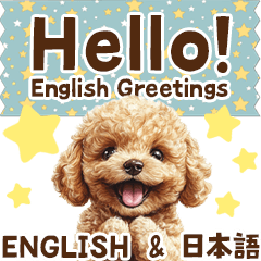 Hello! トイプードルの英語あいさつ