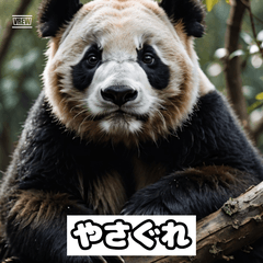 やさぐれパンダの日常