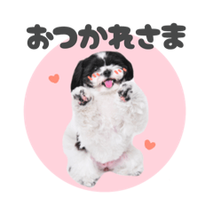 つゆはパラダイス