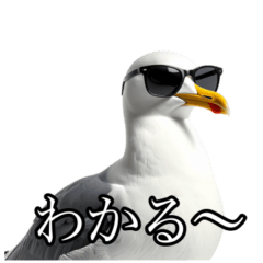友達なカモメ