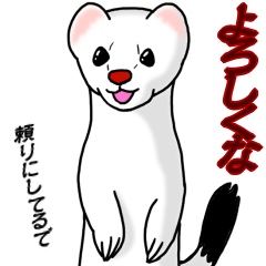 生意気オコジョ