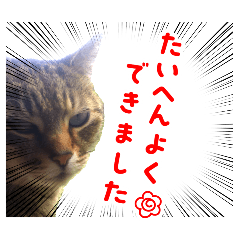 いなみ先生のスタンプ