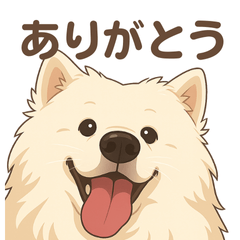 サモさんのきもち。日常でほっこり癒し