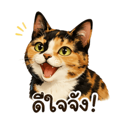 Cool tricolor cat