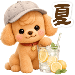 トイプードルの夏と梅雨のお天気カフェ