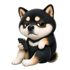 The Domineering Shiba Inu Arrives - Work
