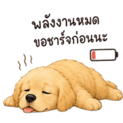 Potato_20260512200439
