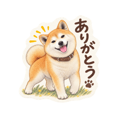 柴犬つくねのほっこり日常スタンプ