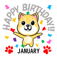 柴犬の誕生日おめでとう １月
