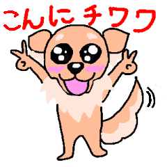 KonniChihuahua