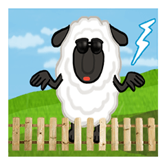 FAN sheep.