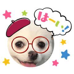 タピタピタピタピタピタピタピタピタピタピ