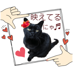 愛しの黒猫ミーちゃんスタンプ♡　第3弾☆