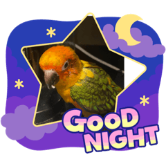 Ployleee_20230610225037