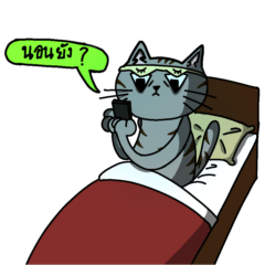 My cat's name is Billion.