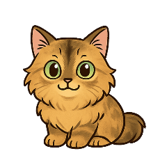 MeeThong : Tortoiseshell Cat