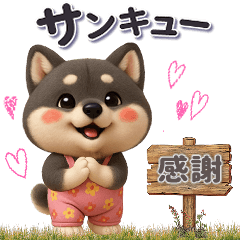 黒柴犬さんの一日